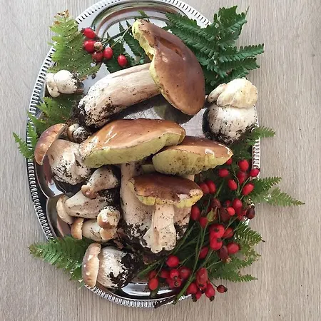 Spazio Gran Paradiso * Alpette