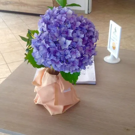 Spazio Gran Paradiso * Alpette